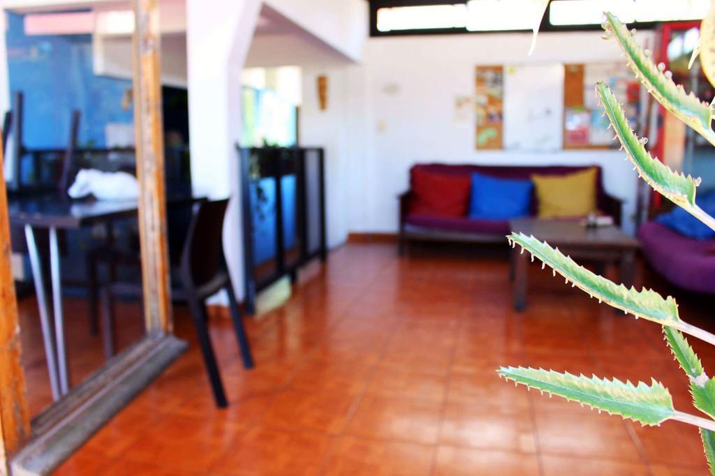 Garden House Hostel Buenos Aires Exterior foto